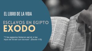 Portada del episodio El libro de la vida: Éxodo | Antiguo Testamento