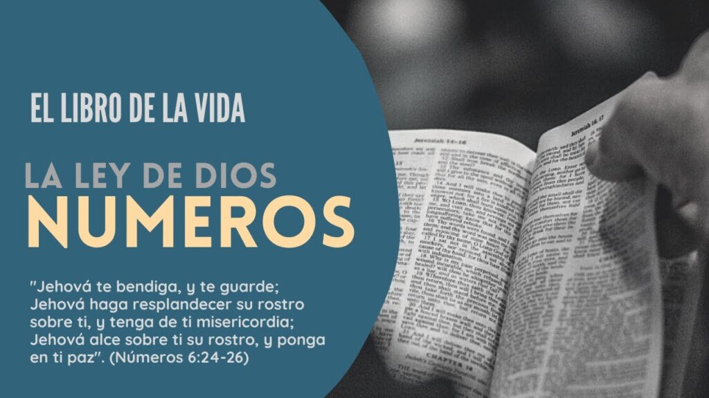 Imagen del programa El libro de la vida: Números | Antiguo Testamento en Radio Solidaria