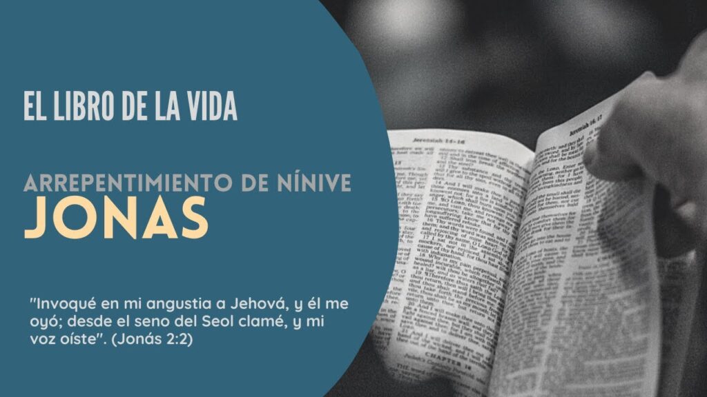 Imagen del programa El libro de la vida: Jonás | Antiguo Testamento en Radio Solidaria