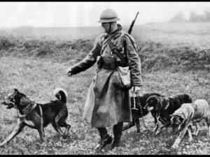 Portada del episodio Satán: El perro enmascarado de la I Guerra Mundial