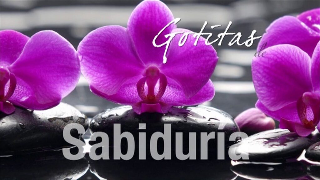 Imagen del programa «Salmo 119» en Radio Solidaria