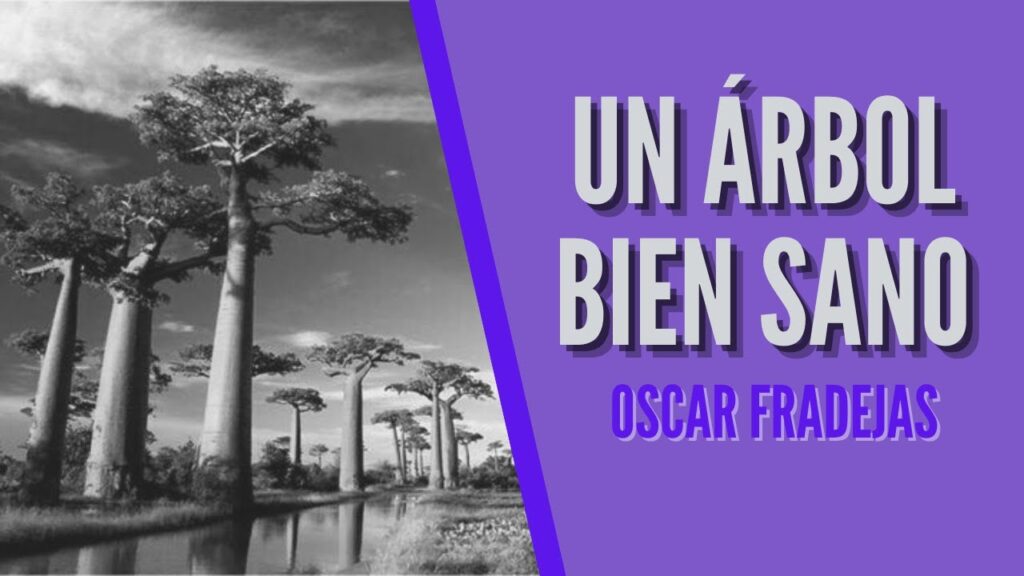 Imagen del programa REFLEXIONES – Óscar Fradejas | #39 Un árbol sano – MENSAJES DE ÁNIMO en Radio Solidaria