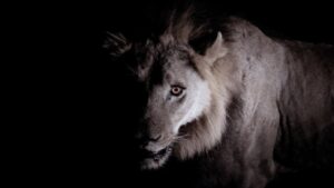 Portada del episodio ¡CUIDADO CON SATANÁS! – REFLEXIÓN PARA HOY