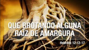 Portada del episodio RAÍCES DE AMARGURA