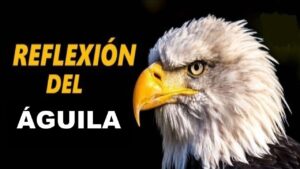 Portada del episodio APRENDIENDO DEL ÁGUILA