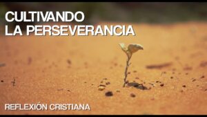Portada del episodio Cultivando la perseverancia // Reflexión Cristiana // Derek Prince