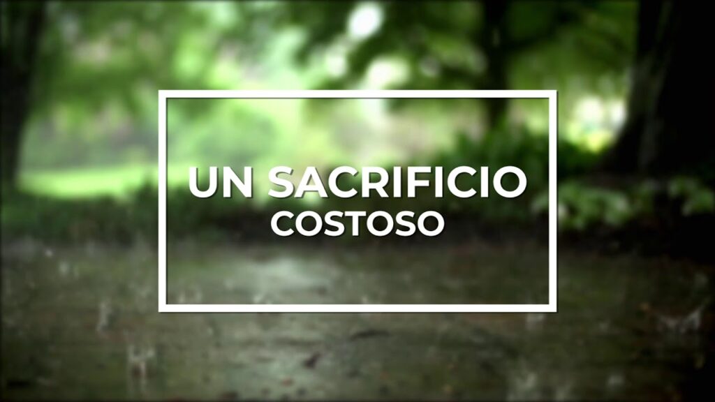 Imagen del programa Un sacrificio costoso // Reflexión bíblica en Radio Solidaria