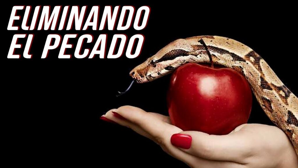 Imagen del programa Eliminando el pecado // Reflexión Cristiana // Derek Prince en Radio Solidaria