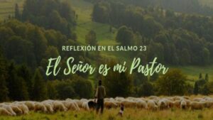 Portada del episodio EL JOVEN PÁSTOR DE OVEJAS