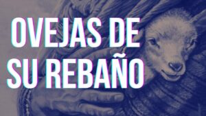 Portada del episodio OVEJAS DE SU REBAÑO