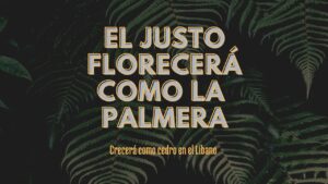Portada del episodio EL JUSTO FLORECERÁ COMO LA PALMERA