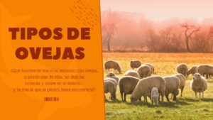 Portada del episodio ¿A qué GRUPO de OVEJAS perteneces?
