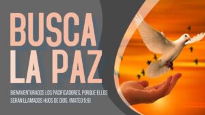 Portada del episodio BIENAVENTURADOS los PACIFICADORES 🙏✌