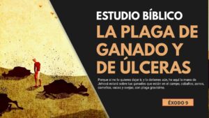 Portada del episodio Estudio Bíblico | La plaga en el ganado y la plaga de úlceras – REFLEXIÓN.