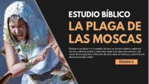 Portada del episodio Estudio Bíblico | La plaga de las moscas – REFLEXIÓN.