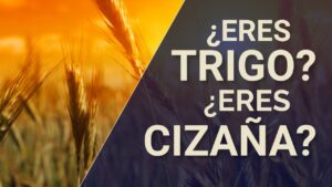 Portada del episodio ¿Eres TRIGO o eres CIZAÑA? 🌾