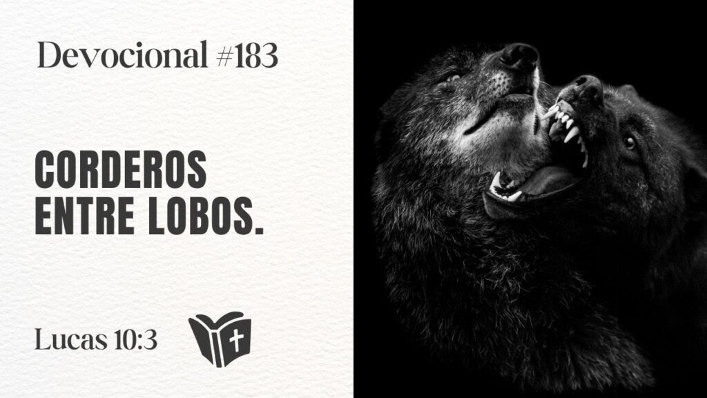 Imagen del programa ¿Tienes carácter de cordero? El verdadero discípulo en tiempos peligrosos | Devocional #183 en Radi...