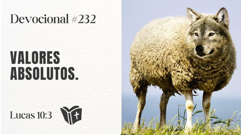 Imagen del programa Por qué la falta de valores absolutos destruye tu vida // #devocional 232 en Radio Solidaria
