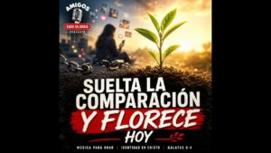 Portada del episodio Suelta la Comparación y Florece hoy – Radio Solidaria #reflexion + #alabanza
