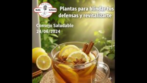 Portada del episodio Plantas para blindar tus defensas y revitalizarte – Consejos Saludables (24-06-2024)